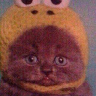 Логотип @nekoe_chmo - ⛲️императорское ложе⛲️