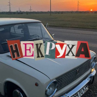 Логотип @nekryyxaracing - некруха рейсинг