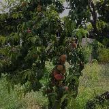Логотип @nellina2001 - дневник памяти🗞️N.