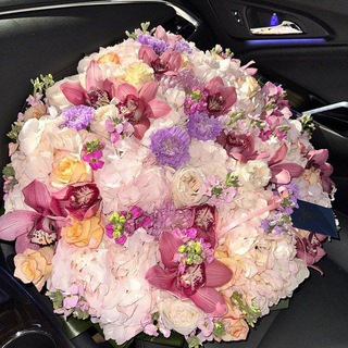 Логотип @nematovas - 𝑺.