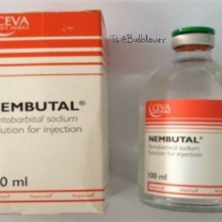 Логотип @nembutal86 - Nembutal