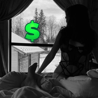 Логотип @nemoverification - NEMO | Verification💰