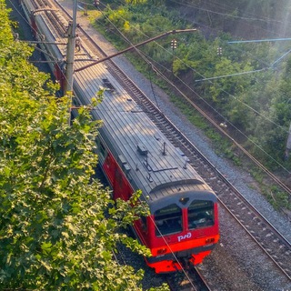 Логотип @neonzuichik - Неоновый Зуйчик. <3