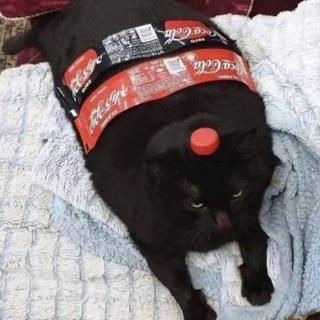 Логотип @nepolindrom - неполиндром