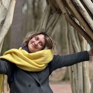 Логотип @nesiaperol - Выдуманное обратно не вдумаешь