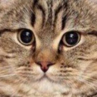 Логотип @nesmemshno - несМЕМшно...