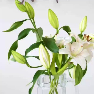 Логотип @netfermer - Нетфермер стори