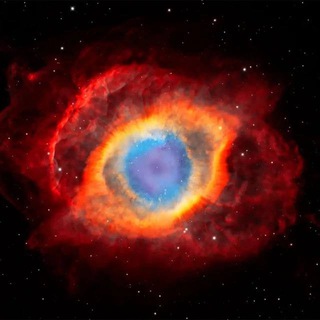 Логотип @netipichnye_momenty - Нетипичные моменты 🌍