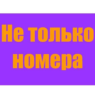 Логотип @netolkonomera - Не только номера
