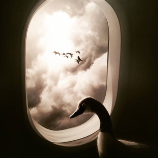 Логотип @netolyanblog - Netolyan Crypto Blog