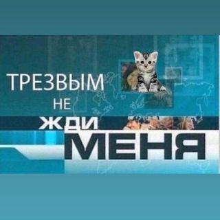 Логотип @netrezvii - Трезвым меня не жди