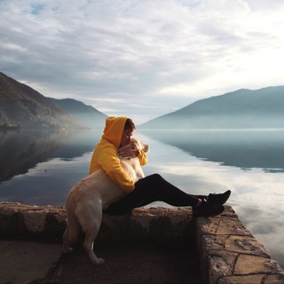 Логотип @netsna_channel - Net.sna