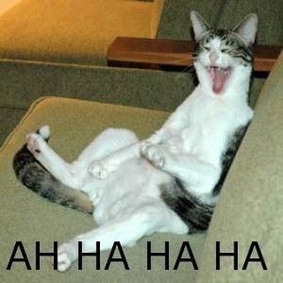 Логотип @netstalking_memes - Нетсталкерские Мемы