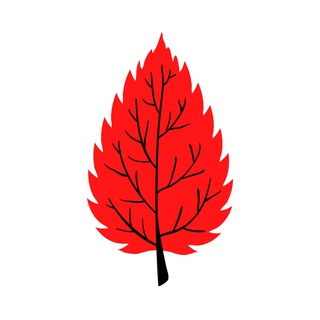 Логотип @nettle_stuff - Крапива