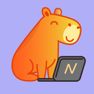 Логотип @networkio_io - Networkio — релокация и карьера за рубежом