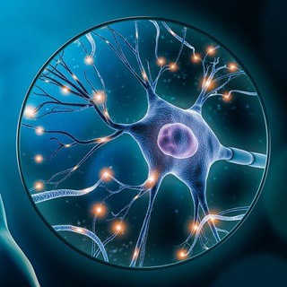 Логотип @neural_digest - Neural Digest
