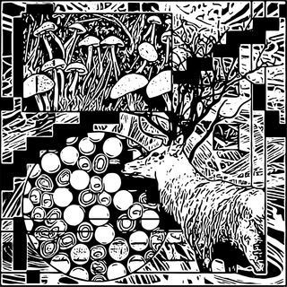 Логотип @neuralhacking - Neural Hack