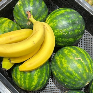 Логотип @neuro_gangsta - 🥭Bungaloo Chat