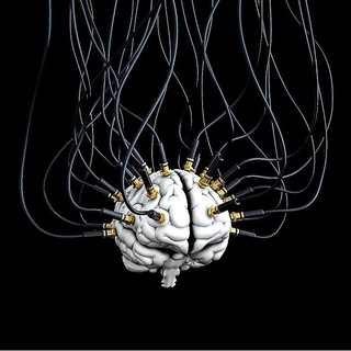 Логотип @neuro_pro - Neuro Pro