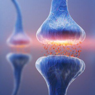 Логотип @neuro_scienze - Neuroscienze | Neurofisiologia