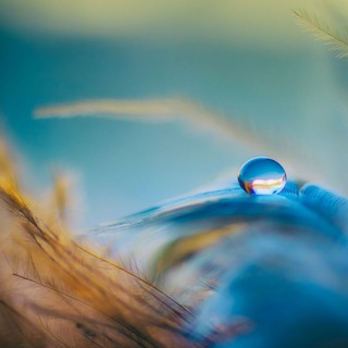 Логотип @neuronika_doc - Neuronika😜