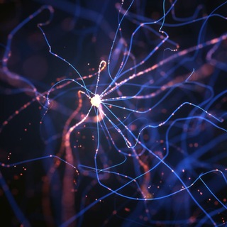 Логотип @neuronmatter - Связи решают все