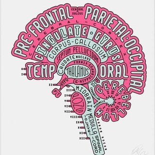 Логотип @neuroscience_articles - Neuroscience and Psychology