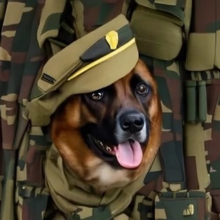 Логотип @neurostock_dogs - NeuroStock | Dogs