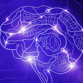 Логотип @neuroweekmgppucomment - Неделя Нейротехнологий и когнитивных наук (комментарии)