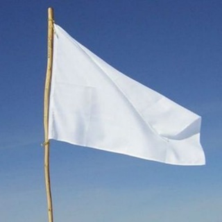 Логотип @neutral_flag - Нейтральный Флаг