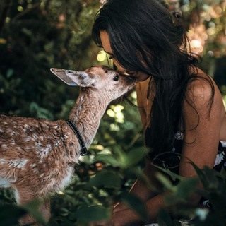 Логотип @neuzeit_spirit - Spiritualität der Neuzeit