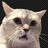 Логотип @neuzhe - НЕУЖЕ~