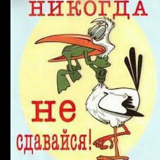 Логотип @never_gi_ve_up - NEVER GIVE UP