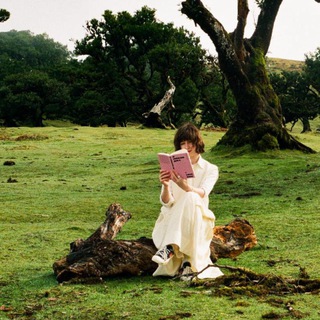 Логотип @nevpokiy - Едіп, Нарцис, Горгони