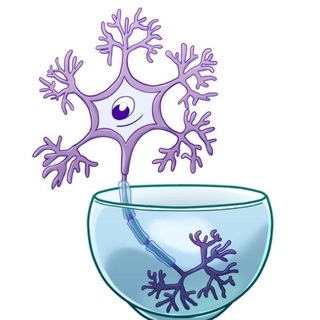 Логотип @nevrarium - Неврариум