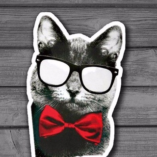 Логотип @nevs_kot - Невыносимый Кот©