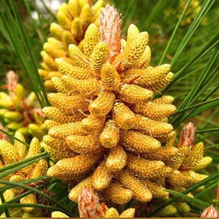 Логотип @new_era999 - В Новую Эру !