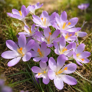 Логотип @new_way_to_live - Гармония жизни в любви ❤️