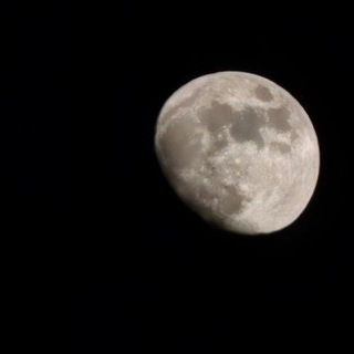 Логотип @newdailyjoke - РАЗГОВОРЫ О ВЛАЖНОМ