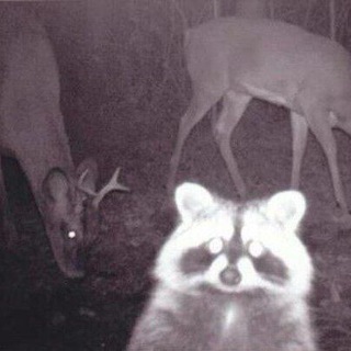 Логотип @newdepartament - Departáment loves u