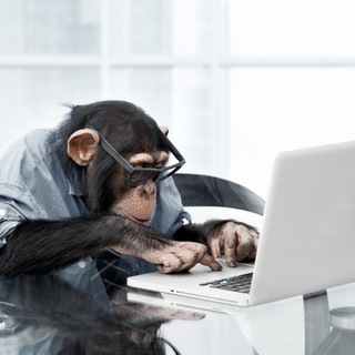 Логотип @newfagpc - New Fag On PC