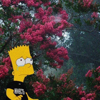 Логотип @newmusicmusic2020 - Музыка всех времён