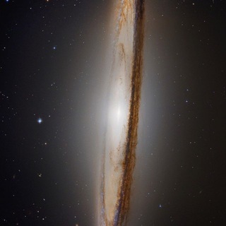 Логотип @newrealitychat - Новая реальность Chat