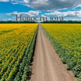 Логотип @news193 - Новости Юга