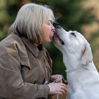 Логотип @news_balticnat - мудрости от @Balticnat