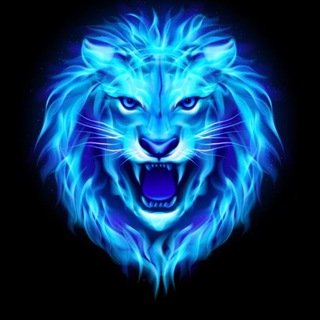 Логотип @news_leo - Leo News