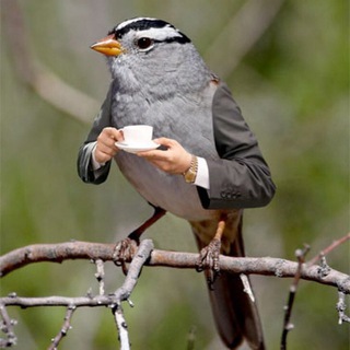 Логотип @newsalertsnow - News Alerts