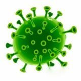 Логотип @newscovid_ukraine - Коронавірус/COVID-19