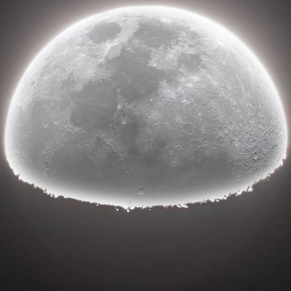 Логотип @newspoilers - Spoiler📲🔄