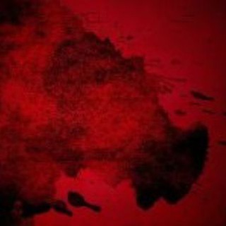 Логотип @newsricht - Новости из мира вечной борьбы